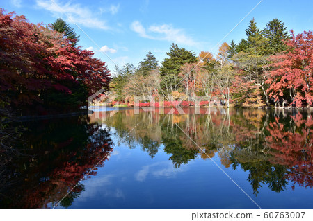Kumonba Pond Kumonba Pond 60763007