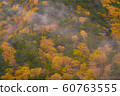 autumn season backgroun with colorful tree leaf on 60763555