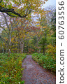 rainy day in trail way of kamikochi in autumn 60763556