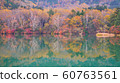 autumn in nikko japan with colorful trees and 60763561