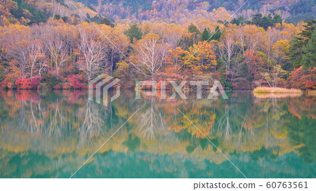 autumn in nikko japan with colorful trees and autumn in nikko japan with colorful trees and 60763561
