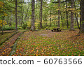 kamikochi forest in autumn season japan travel 60763566
