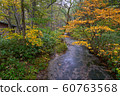 autum kamikochi with small Stream pond and yellow 60763568