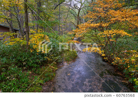 autum kamikochi with small Stream pond and yellow autum kamikochi with small Stream pond and yellow 60763568