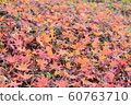 Fallen leaves  60763710