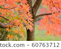 Autumn leaves 60763712