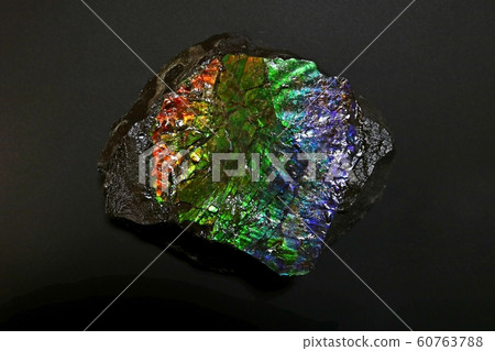 ■ Ammolite ■ Cretaceous ■ About 72 million years ago ■ Ammonite ■ Ammolite ■ Cretaceous ■ About 72 million years ago ■ Ammonite 60763788