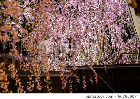 Kadokan Yozakura秋田 Kadokan Yozakura秋田 60766607