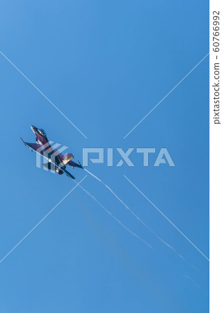 戰鬥機 蒼蠅 飛翔 60766992