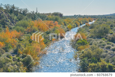 Agua Fria River in the southwest desert of Peoria, Maricopa County, Arizona USA Agua Fria River in the southwest desert of Peoria, Maricopa County, Arizona USA 60768679