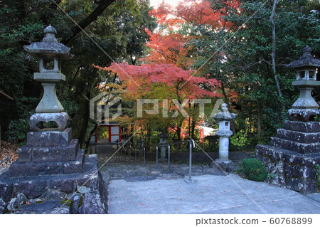 Enfuku-ji Temple (Enpuku-ji Temple) Sando and autumn leaves Kasugai City, Aichi Prefecture Enfuku-ji Temple (Enpuku-ji Temple) Sando and autumn leaves Kasugai City, Aichi Prefecture 60768899