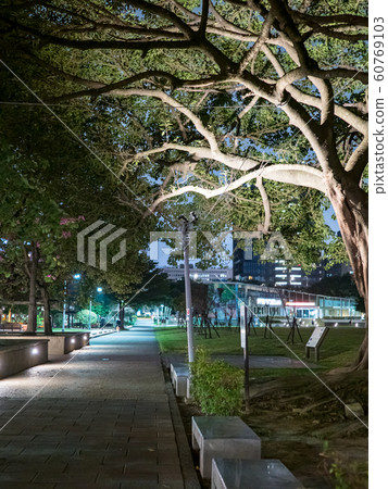 benches on pavement in light lantern at night 60769103