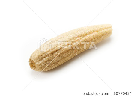 Loofah scourer 60770434