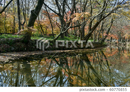 Dosolcheon, Seonunsa, Sununsan, Gochang-gun, Jeonbuk, South Korea 60770855