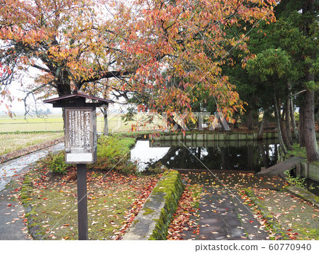 Rokugo spring water group Rokugo spring water group 60770940