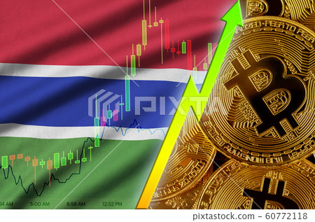 Gambia flag and cryptocurrency growing trend with Gambia flag and cryptocurrency growing trend with 60772118
