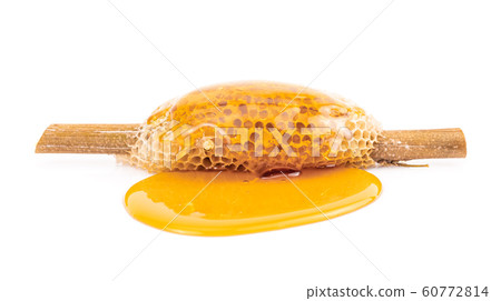 honeycomb with sweet honey on dry branch isolated on white background 60772814