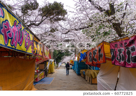 上野東照宮櫻花 上野東照宮櫻花 60772825