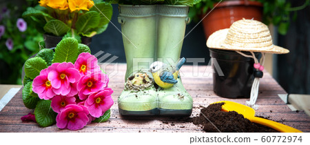 Stylish concept of gardening, planting planning, 60772974