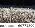 Susuki prairie 60773200