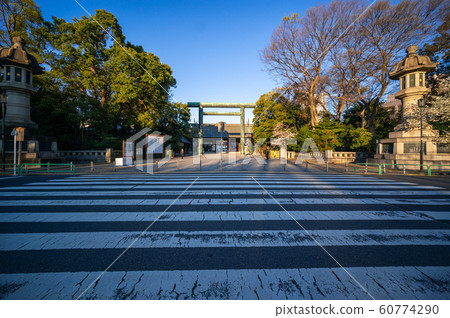 靖國神社櫻花 60774290