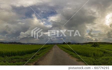 japanese rice field with rain clouds japanese rice field with rain clouds 60774291
