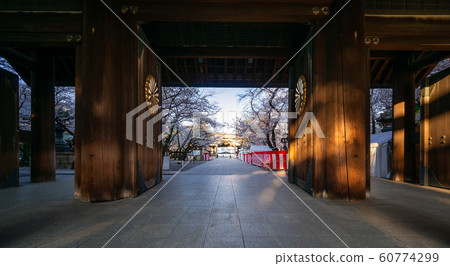 靖國神社櫻花 60774299