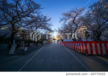 靖國神社櫻花 60774302