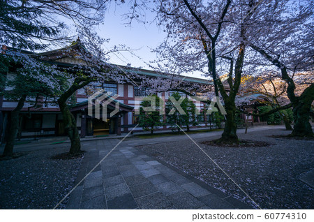 Yasukuni Shrine Sakura Yasukuni Shrine Sakura 60774310