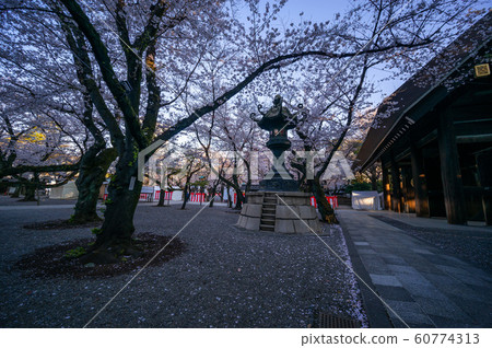 靖國神社櫻花 靖國神社櫻花 60774313