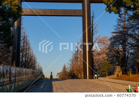 靖國神社櫻花 靖國神社櫻花 60774370