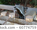Higashi-Nada Ward, Kobe City, Hyogo Prefecture 60774759