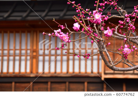 紅梅日本屋 紅梅日本屋 60774762