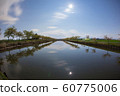moon reflection on water with plum trees 60775006