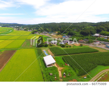 Aerial photographing in the countryside ~ drone (Kanda Basin / Zao-machi Kariya-gun, Miyagi prefecture) 60775009