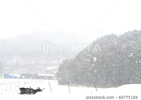 Snow country Snow country 60775188
