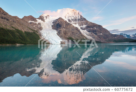 Mt Robson 60775672