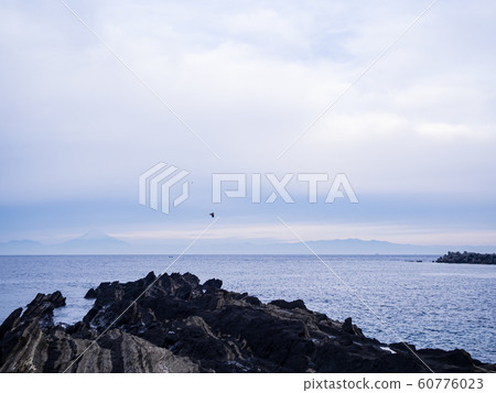 Jogashima (winter) Jogashima (winter) 60776023
