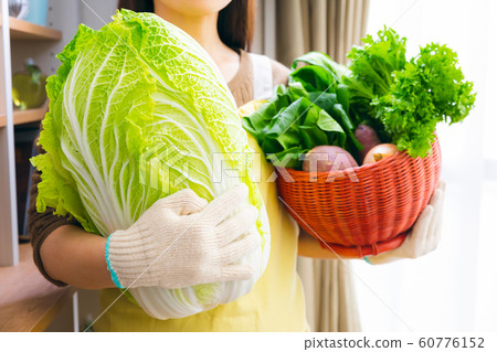 Woman with chinese cabbage kitchen garden field harvest Woman with chinese cabbage kitchen garden field harvest 60776152