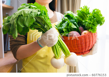 Woman with turnip kitchen garden field harvest Woman with turnip kitchen garden field harvest 60776153