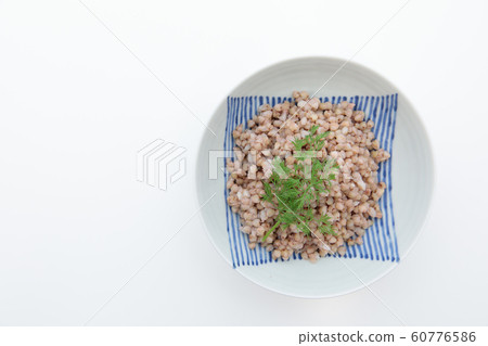 Millet Soba noodles Boiled buckwheat noodles Millet Soba noodles Boiled buckwheat noodles 60776586