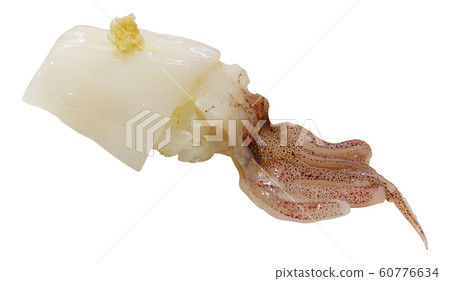 Japanese raw squid nigiri with ginger isolated white background Japanese raw squid nigiri with ginger isolated white background 60776634