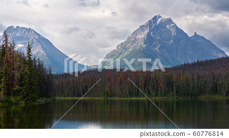 Leach Lake, Jasper National Park, Alberta, Canada Leach Lake, Jasper National Park, Alberta, Canada 60776814