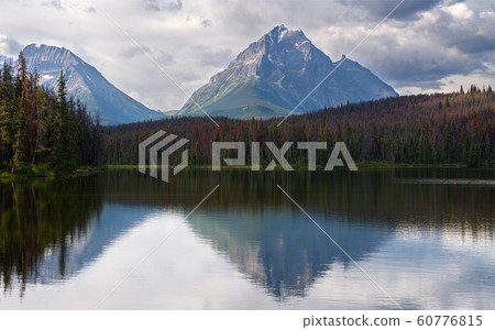 Leach Lake, Jasper National Park, Alberta, Canada Leach Lake, Jasper National Park, Alberta, Canada 60776815