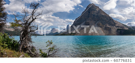 Bow Lake, Icefield Parkway, Banff National Park, 60776831