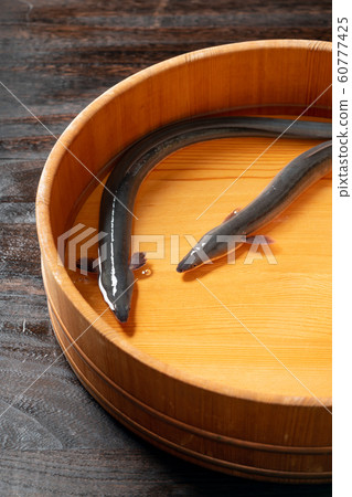 Eel in the tub Eel in the tub 60777425