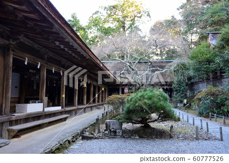 Yoshino Moisture Shrine 60777526