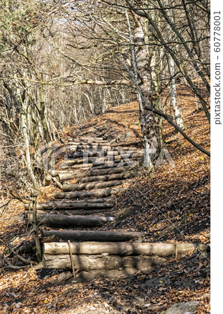 Footpath in deciduous forest, Vapec hill, Strazov 60778001