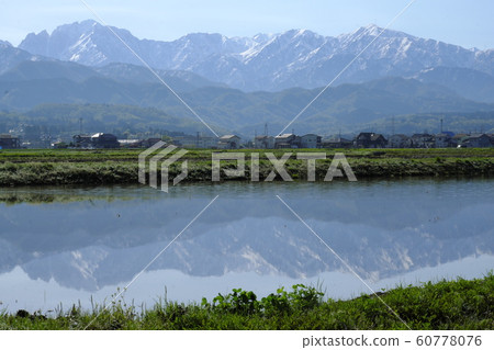 A water glass A water glass 60778076