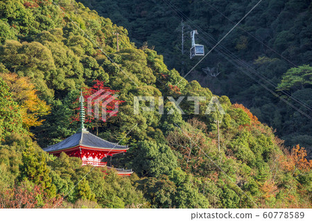 岐阜縣岐阜公園三塔 岐阜縣岐阜公園三塔 60778589